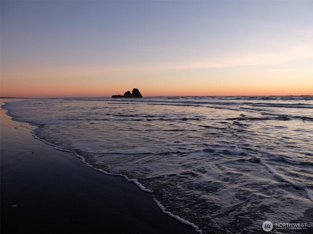 24 Nancy Ln, Copalis Beach, WA 98535 - water view