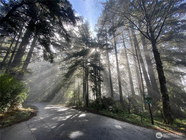 24 Nancy Ln, Copalis Beach, WA 98535 - view of asphalt road