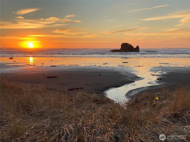 24 Nancy Ln, Copalis Beach, WA 98535 - water view featuring nearby beach