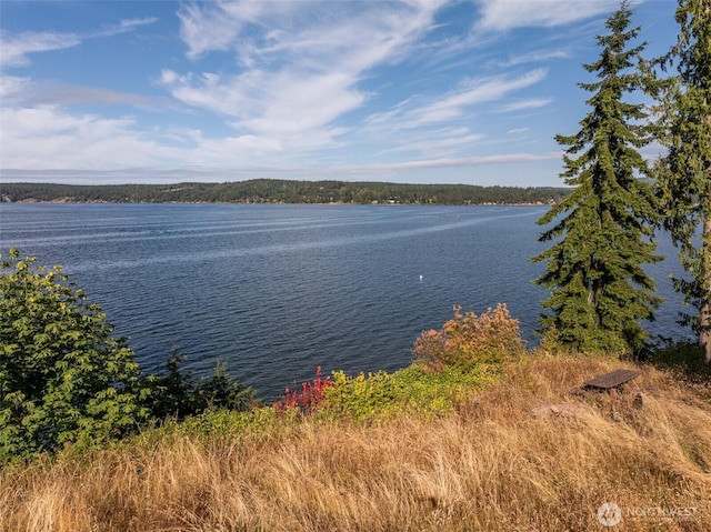 3727 W Sequim Bay Rd, Sequim, WA 98382 - photo 4