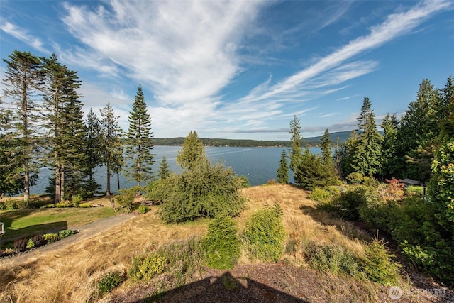 3727 W Sequim Bay Rd, Sequim, WA 98382 - photo 33