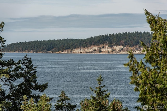 3727 W Sequim Bay Rd, Sequim, WA 98382 - photo 34