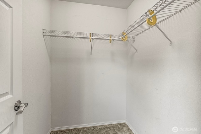 2321 52nd Ave, Longview, WA 98632 - spacious closet featuring carpet flooring