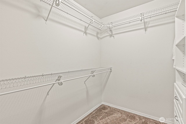 2321 52nd Ave, Longview, WA 98632 - spacious closet featuring carpet floors