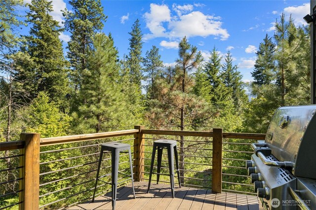 130 Rinky Dink Ln, Cle Elum, WA 98922 - photo 21