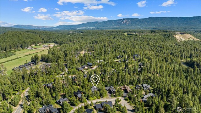 130 Rinky Dink Ln, Cle Elum, WA 98922 - photo 34