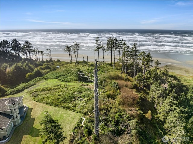17 Chauncey Ln, Pacific Beach, WA 98571