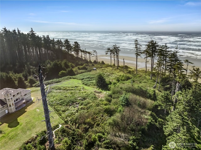 17 Chauncey Ln, Pacific Beach, WA 98571