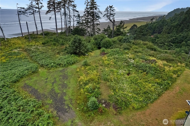 17 Chauncey Ln, Pacific Beach, WA 98571