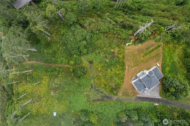 17 Chauncey Ln, Pacific Beach, WA 98571