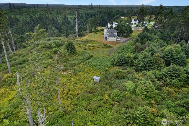 17 Chauncey Ln, Pacific Beach, WA 98571