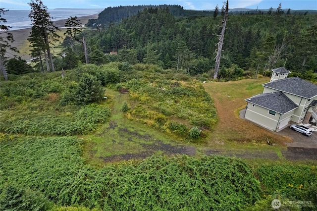 17 Chauncey Ln, Pacific Beach, WA 98571