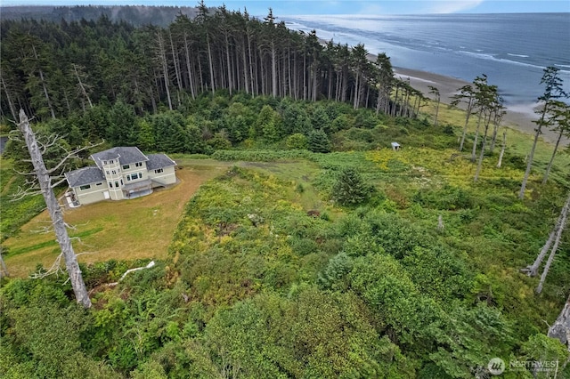 17 Chauncey Ln, Pacific Beach, WA 98571