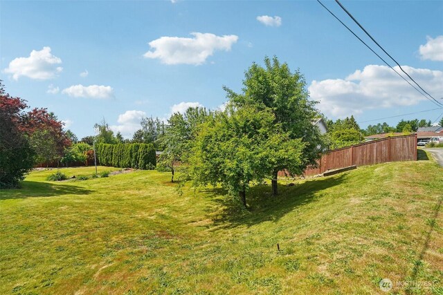 32427 6th Ave, Black Diamond, WA 98010 - view of yard