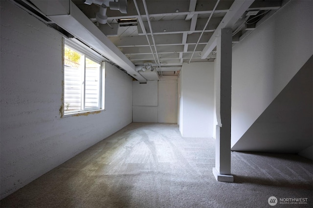 1030 N Clinton St, Walla Walla, WA 99362 - below grade area featuring carpet flooring