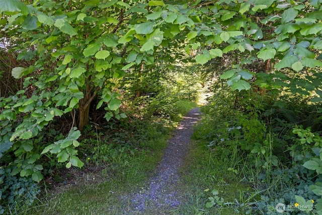 13901 Cedar Ct, Sultan, WA 98294 - view of undeveloped land