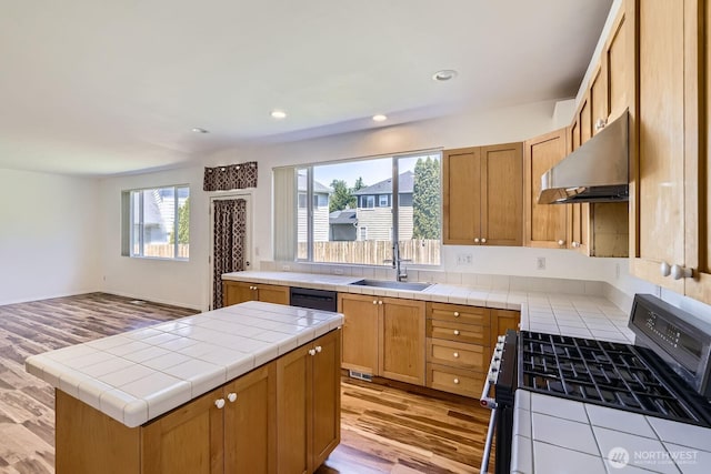 24036 SE 10th Ct, Sammamish, WA 98075 - photo 8
