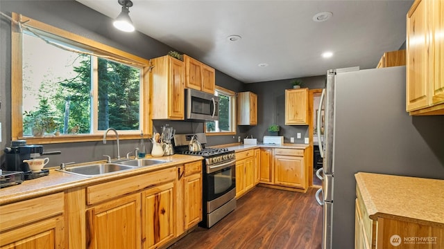 136 Tamarack Ln, Dayton, WA 99328 - kitchen with stainless steel appliances, a sink, dark wood-style floors, light countertops, and recessed lighting