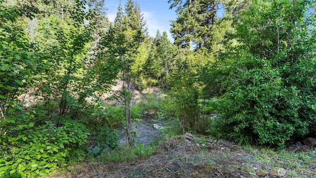 136 Tamarack Ln, Dayton, WA 99328 - view of nature