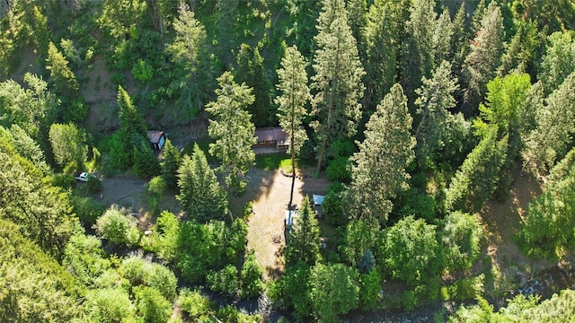 136 Tamarack Ln, Dayton, WA 99328 - aerial overview of property's location featuring a heavily wooded area