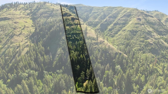 136 Tamarack Ln, Dayton, WA 99328 - view of mountain backdrop with a heavily wooded area