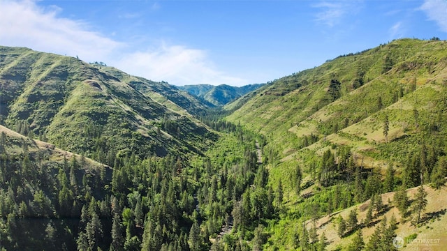 136 Tamarack Ln, Dayton, WA 99328 - view of mountain backdrop