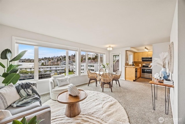334 Lakeside Ave S Unit 404, Seattle, WA 98144 - living area featuring light carpet, healthy amount of natural light, and baseboards