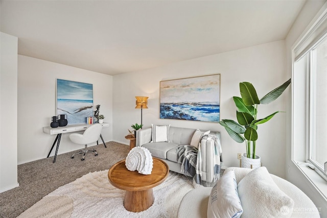 334 Lakeside Ave S Unit 404, Seattle, WA 98144 - living room with carpet flooring and baseboards