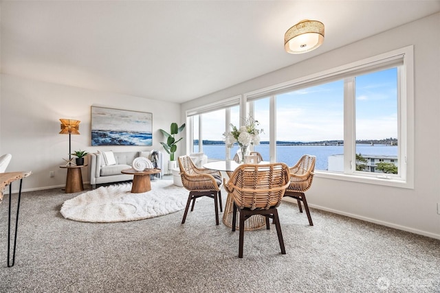334 Lakeside Ave S Unit 404, Seattle, WA 98144 - carpeted dining space featuring baseboards and a water view