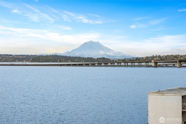 334 Lakeside Ave S Unit 404, Seattle, WA 98144 - water view featuring mountains and a notable bridge