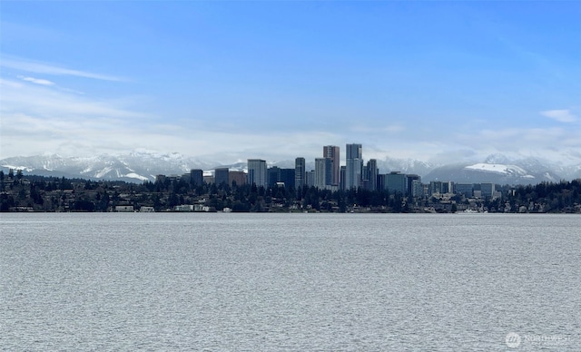 334 Lakeside Ave S Unit 404, Seattle, WA 98144 - water view with nearby urban area