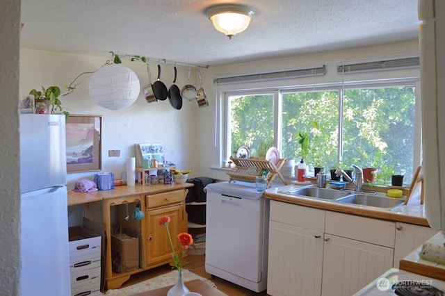 408 9th Ave SE, Olympia, WA 98501 - kitchen with freestanding refrigerator, dishwasher, a sink, a textured ceiling, and light countertops