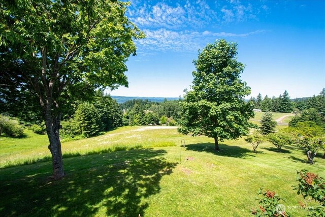 622 Confer Rd, Kalama, WA 98625 - photo 29