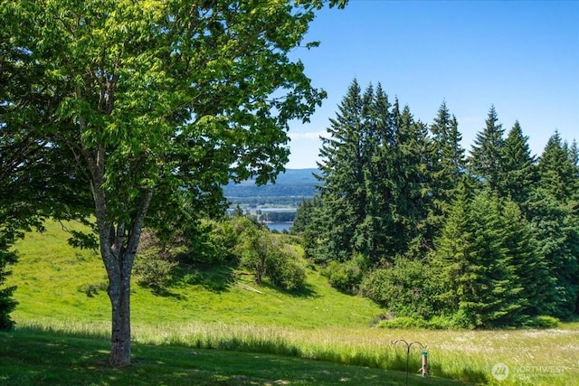622 Confer Rd, Kalama, WA 98625 - photo 32