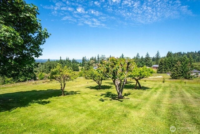 622 Confer Rd, Kalama, WA 98625 - photo 34