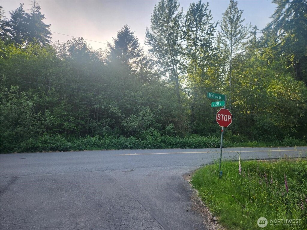 234XX 164th Ave SE, Kent, WA 98042 - photo 3