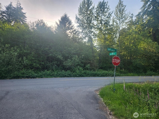234XX 164th Ave SE, Kent, WA 98042 - photo 3