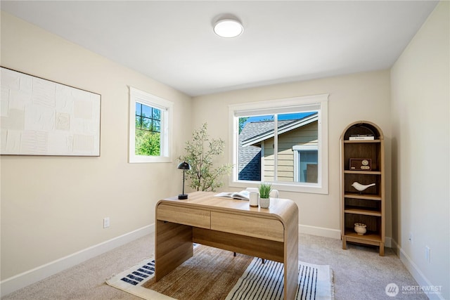 8910 125th Ln NE, Kirkland, WA 98033 - office featuring light colored carpet