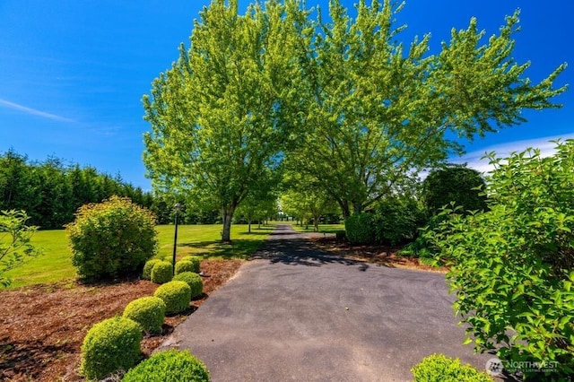 794 W Smith Rd, Bellingham, WA 98226 - view of home's community featuring a lawn