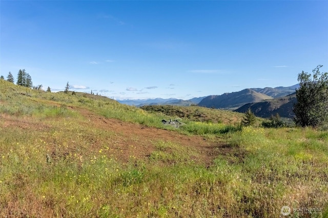 0TBD Alder Rd, Twisp, WA 98856