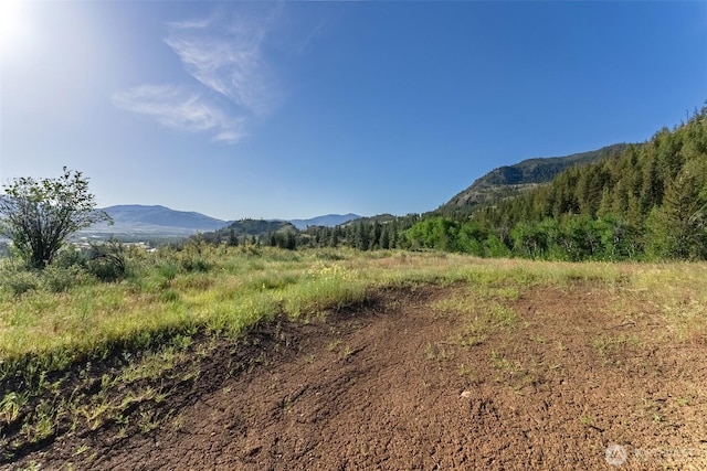 0TBD Alder Rd, Twisp, WA 98856