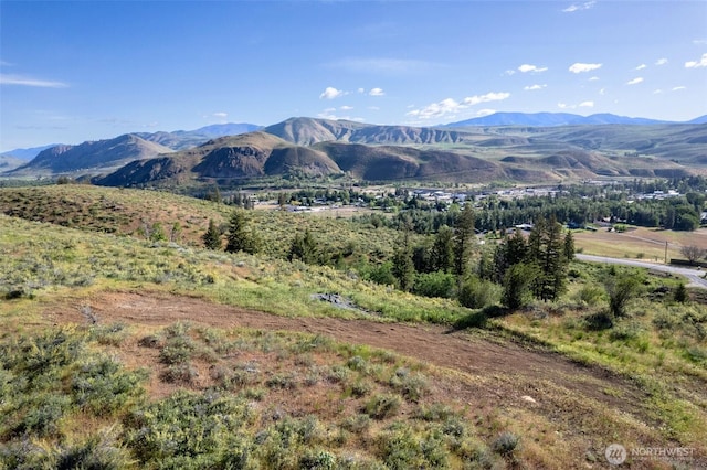 0TBD Alder Rd, Twisp, WA 98856