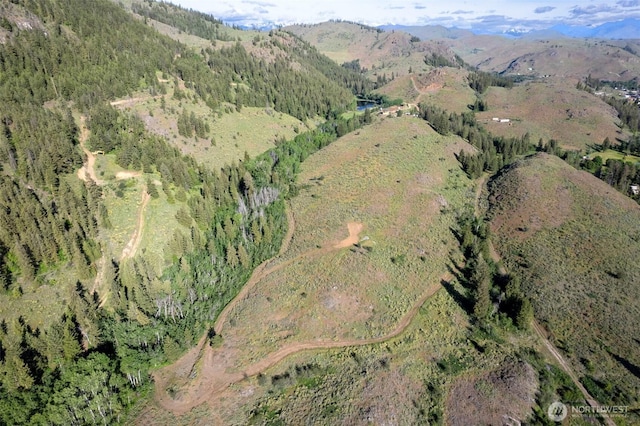 0TBD Alder Rd, Twisp, WA 98856