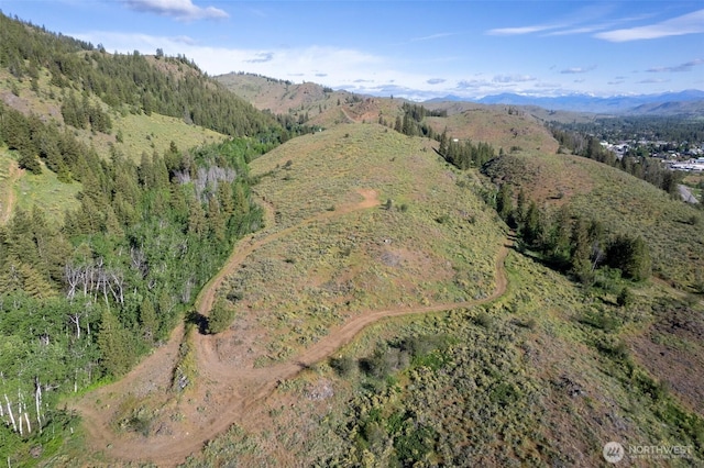 0TBD Alder Rd, Twisp, WA 98856