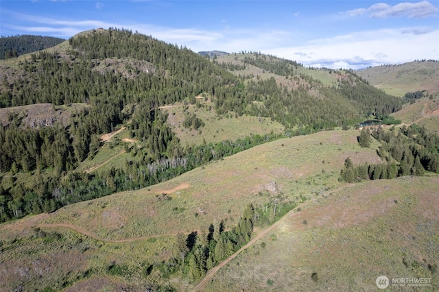 0TBD Alder Rd, Twisp, WA 98856