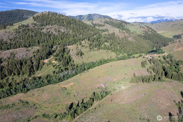 0TBD Alder Rd, Twisp, WA 98856