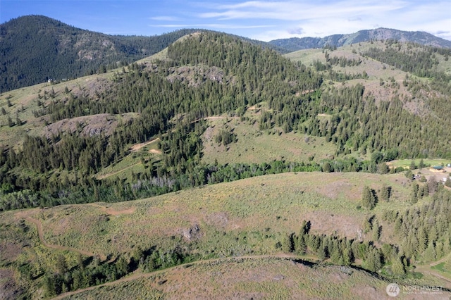 0TBD Alder Rd, Twisp, WA 98856