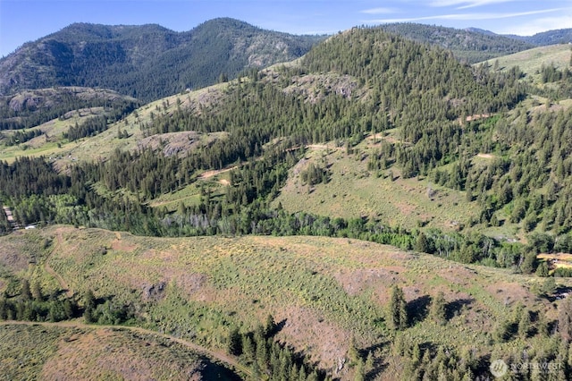 0TBD Alder Rd, Twisp, WA 98856