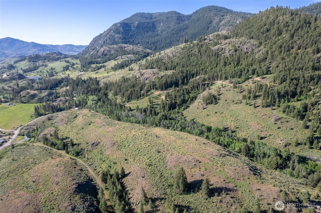 0TBD Alder Rd, Twisp, WA 98856
