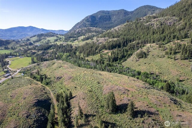 0TBD Alder Rd, Twisp, WA 98856